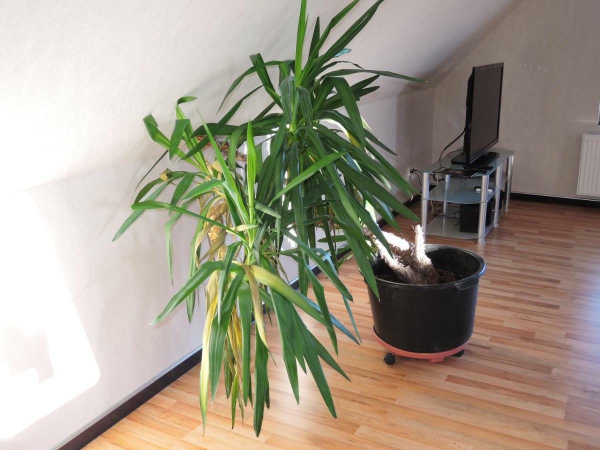Guesthouse "Southside Of Hamburg" Exterior foto